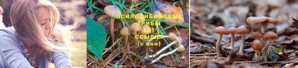 меф VHQ Баксан