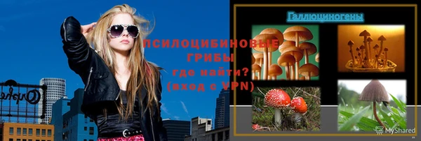 молекула духа Балахна