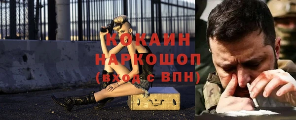 гашик Арсеньев