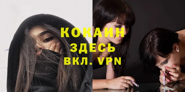 молекула духа Балахна
